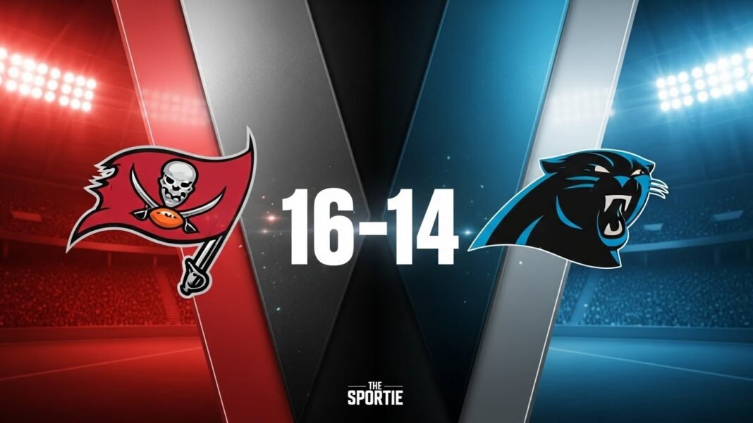 Tampa Bay Buccaneers vs Carolina Panthers Match Player Stats (Jan 3, 2026)