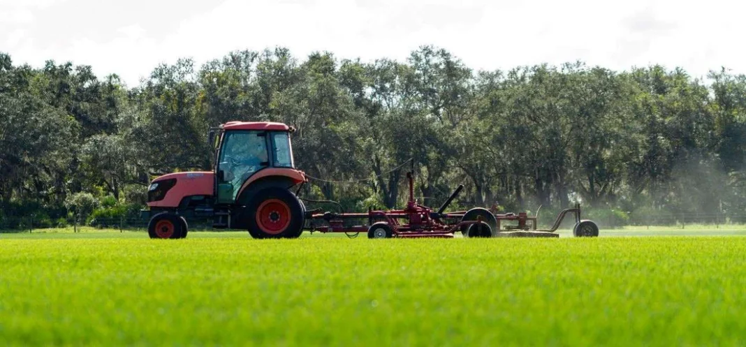 Commercial sod supplier Tampa